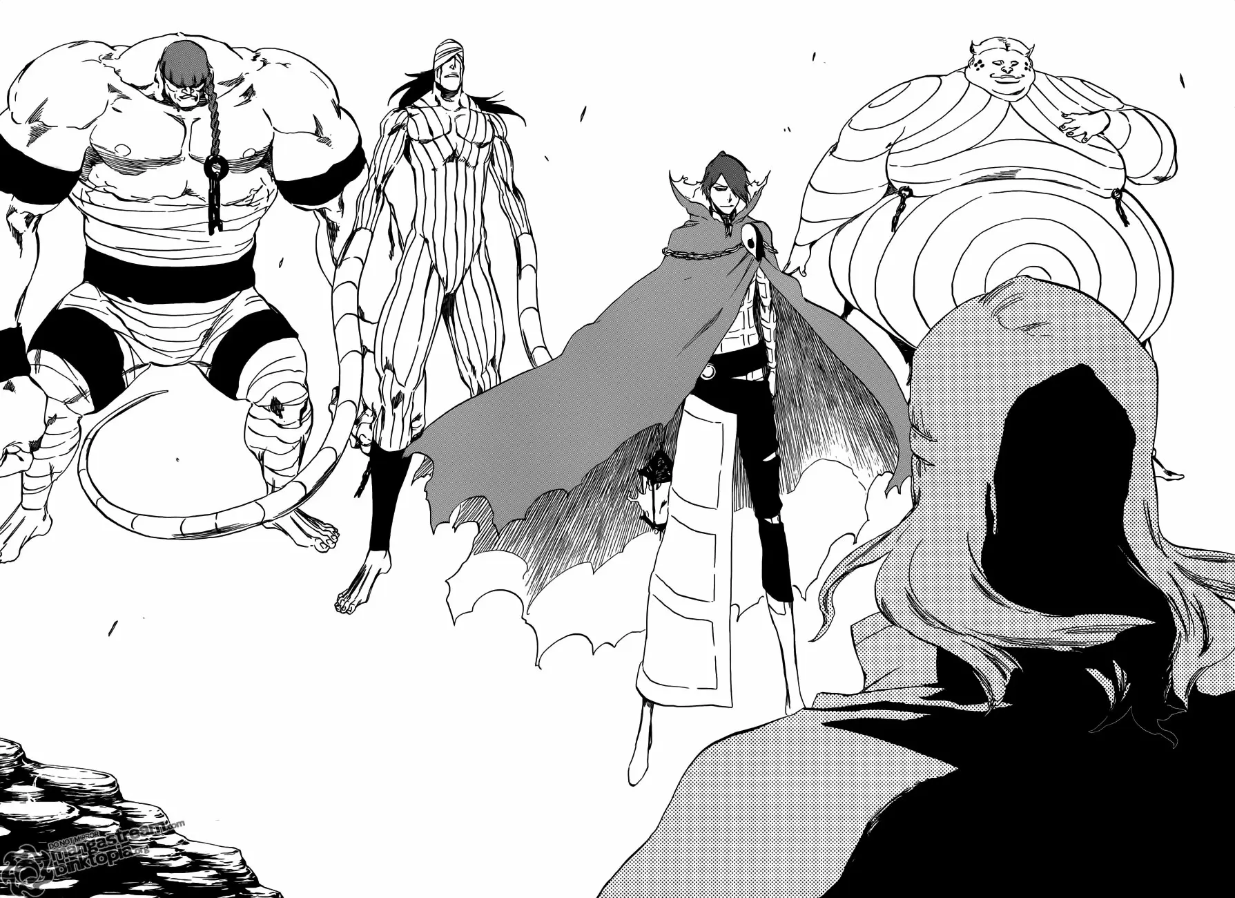 Bleach capítulo 423.5, página 14