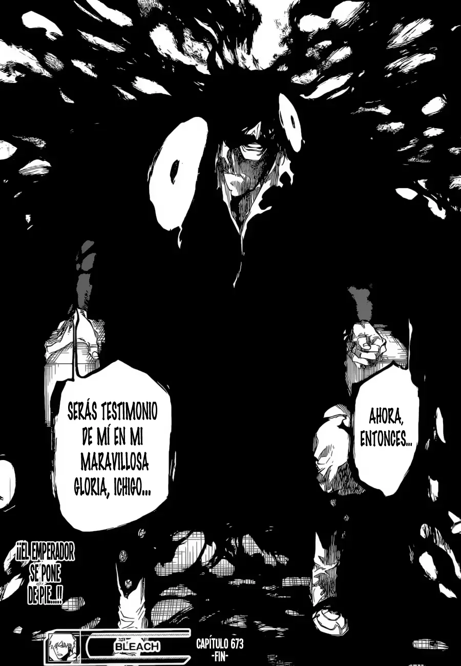Bleach capítulo 673, página 17