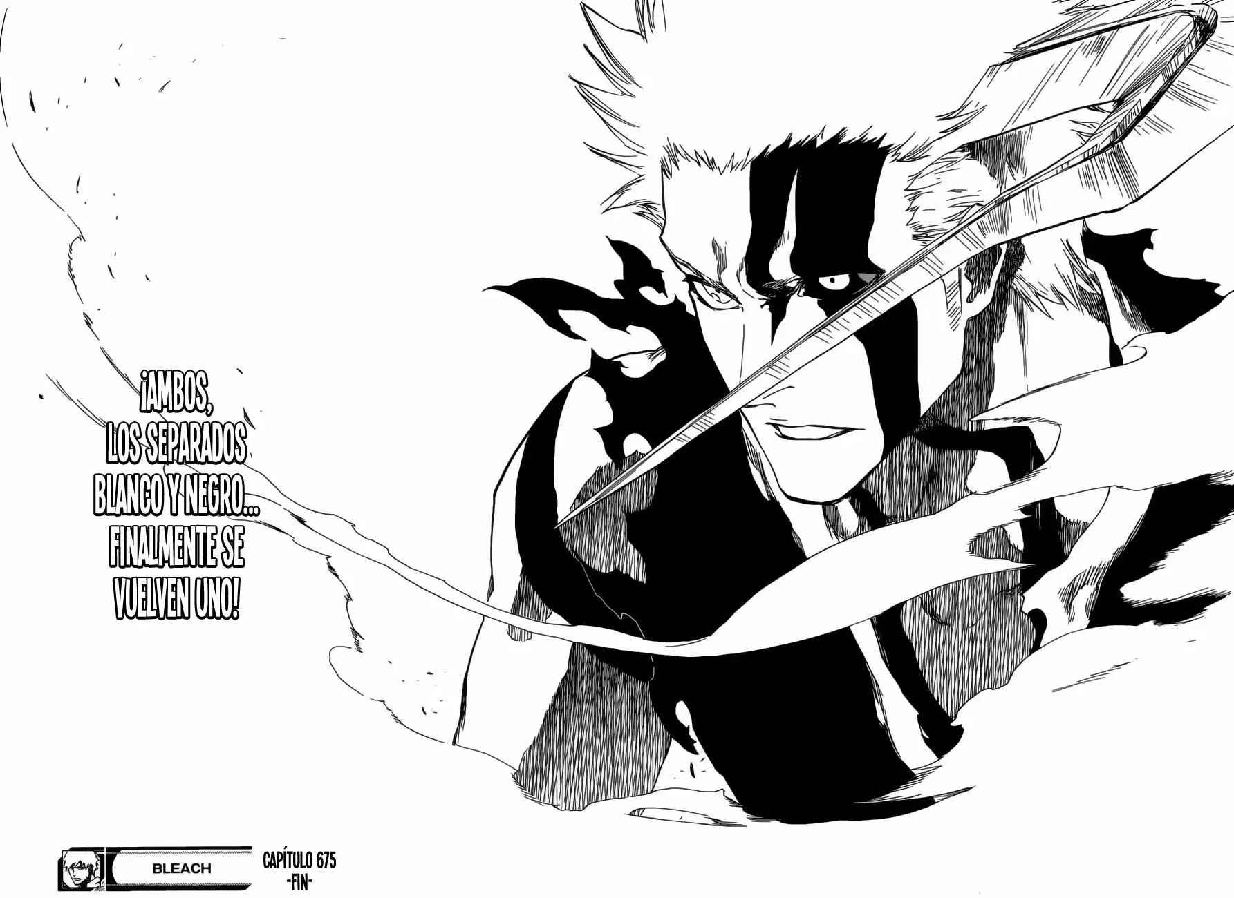 Bleach capítulo 675, página 17