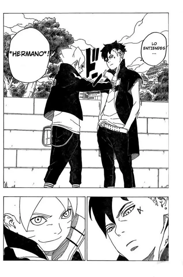 Boruto capítulo 35, página 29