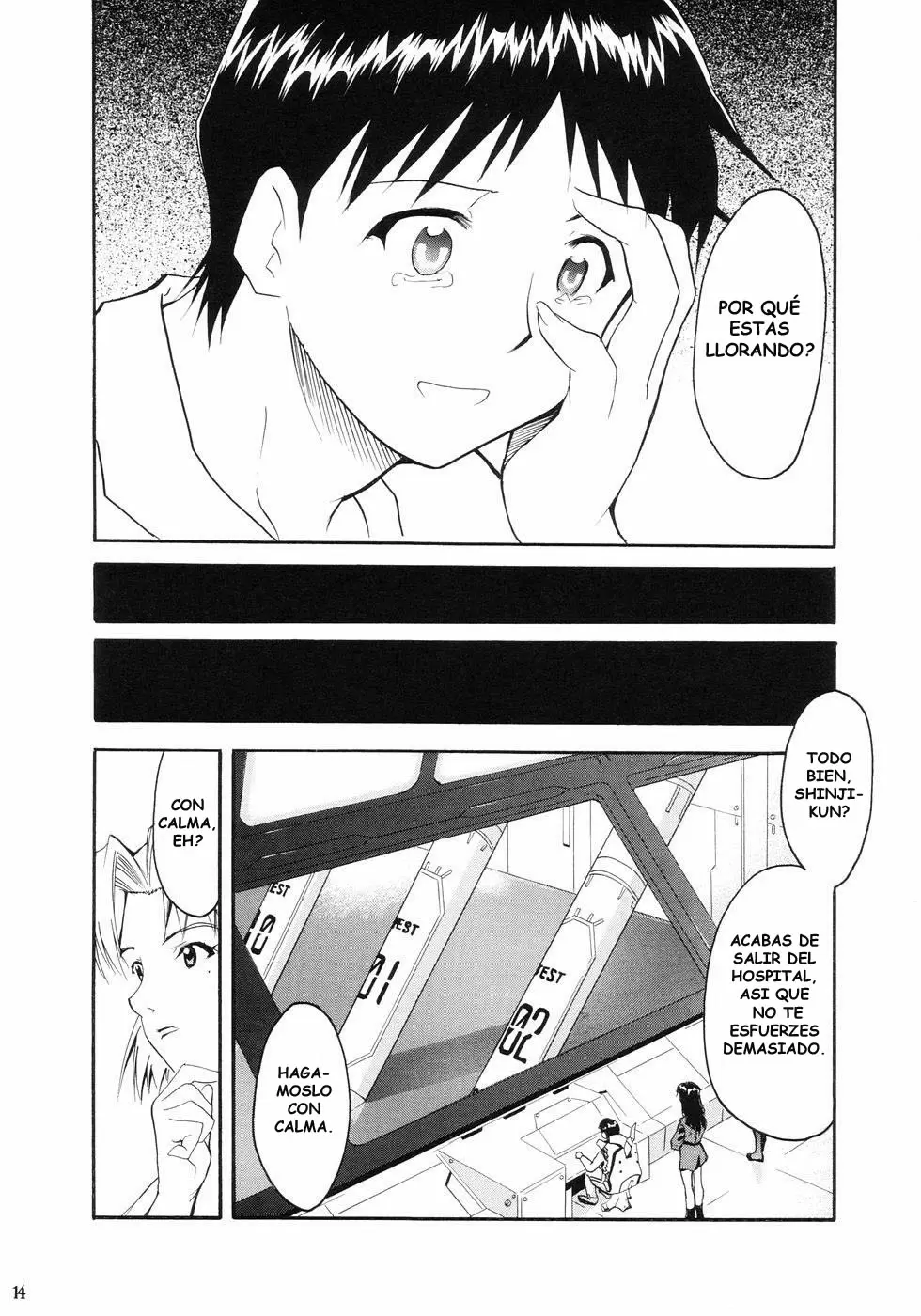 Evangelion Re: Take All Ages capítulo 1, página 11