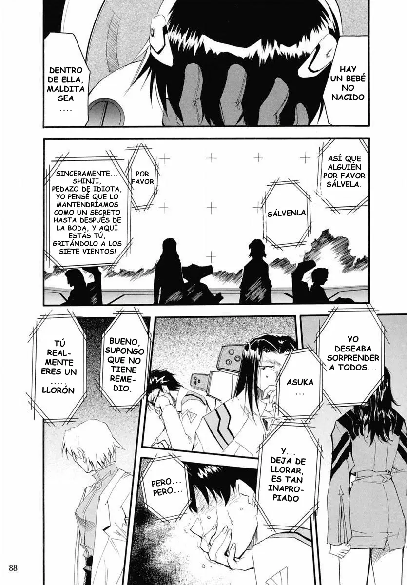 Evangelion Re: Take All Ages capítulo 2, página 87