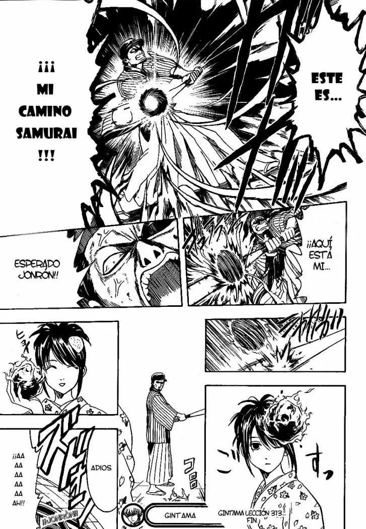 Gintama capítulo 313, página 22