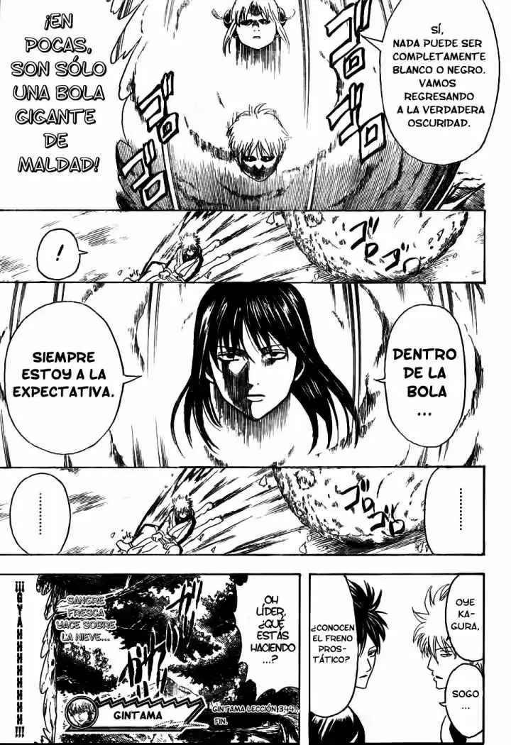 Gintama capítulo 344, página 19