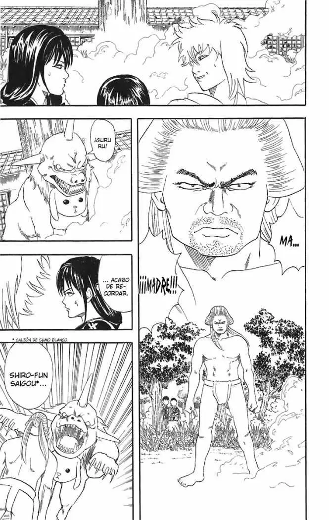 Gintama capítulo 39, página 17