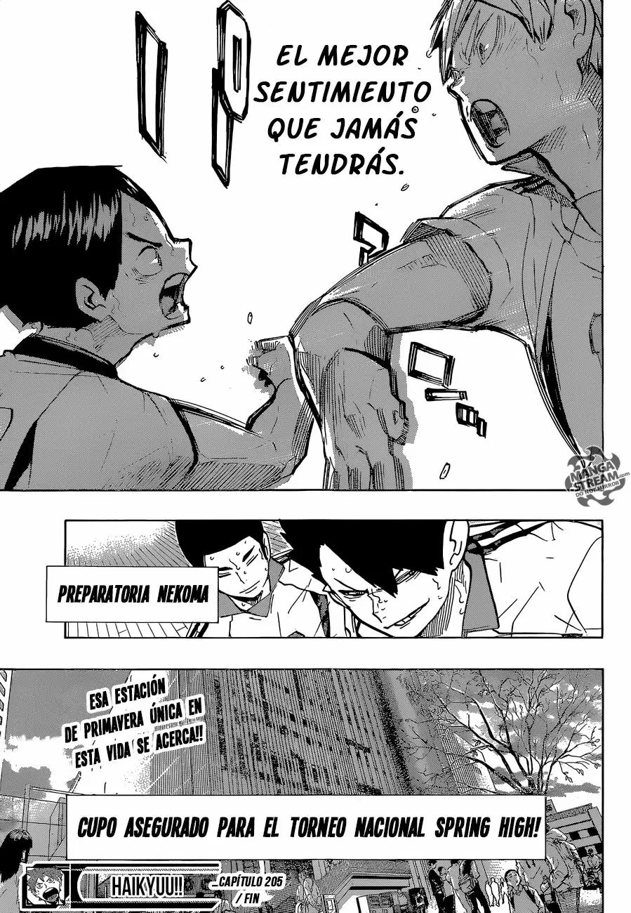 Haikyuu!! capítulo 205, página 17