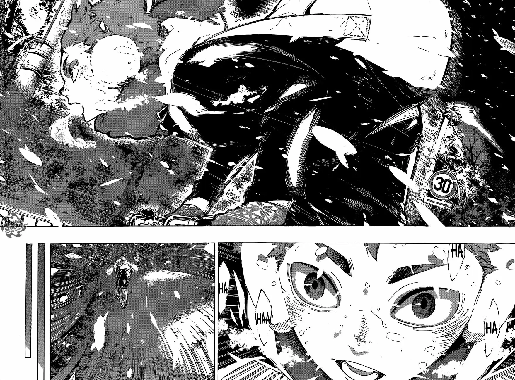 Haikyuu!! capítulo 208, página 15