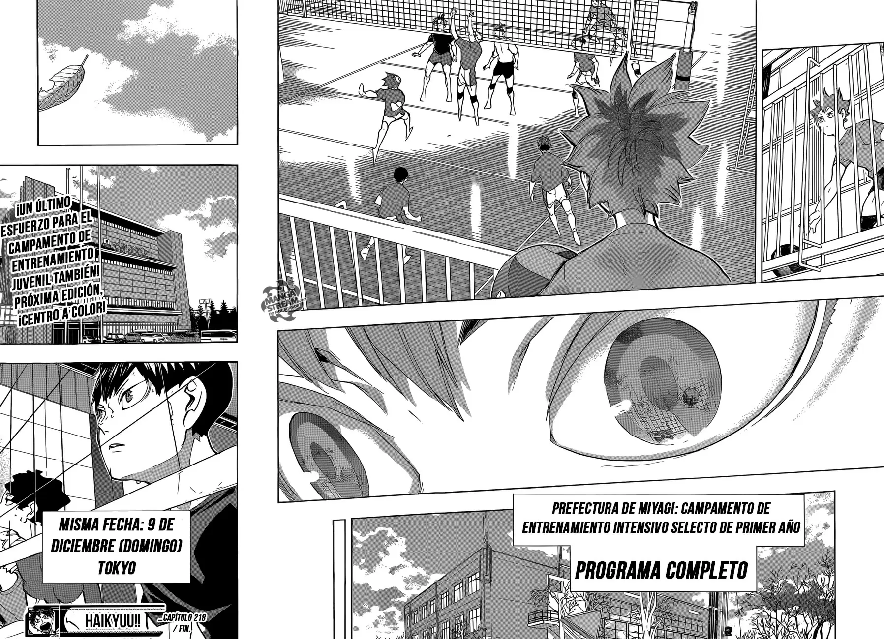 Haikyuu!! capítulo 218, página 19