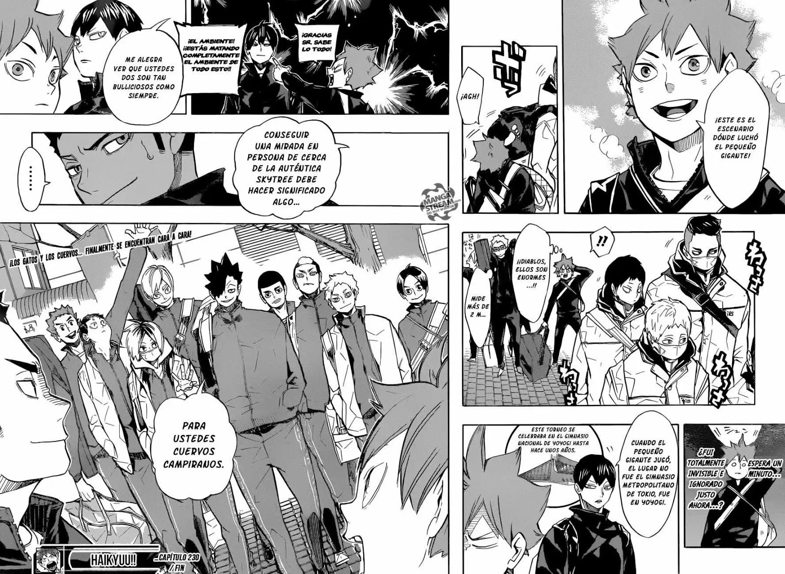 Haikyuu!! capítulo 230, página 18