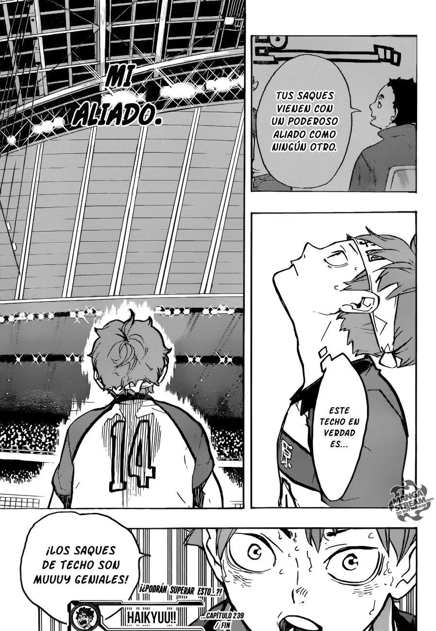 Haikyuu!! capítulo 239, página 19