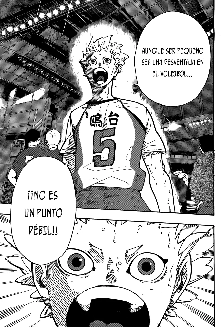 Haikyuu!! capítulo 245, página 15
