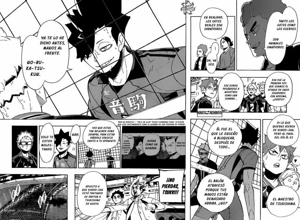 Haikyuu!! capítulo 297, página 13