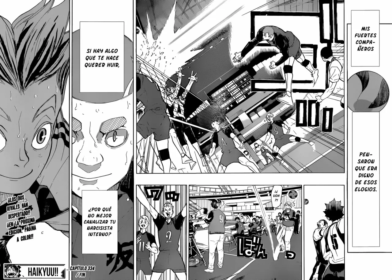 Haikyuu!! capítulo 334, página 19