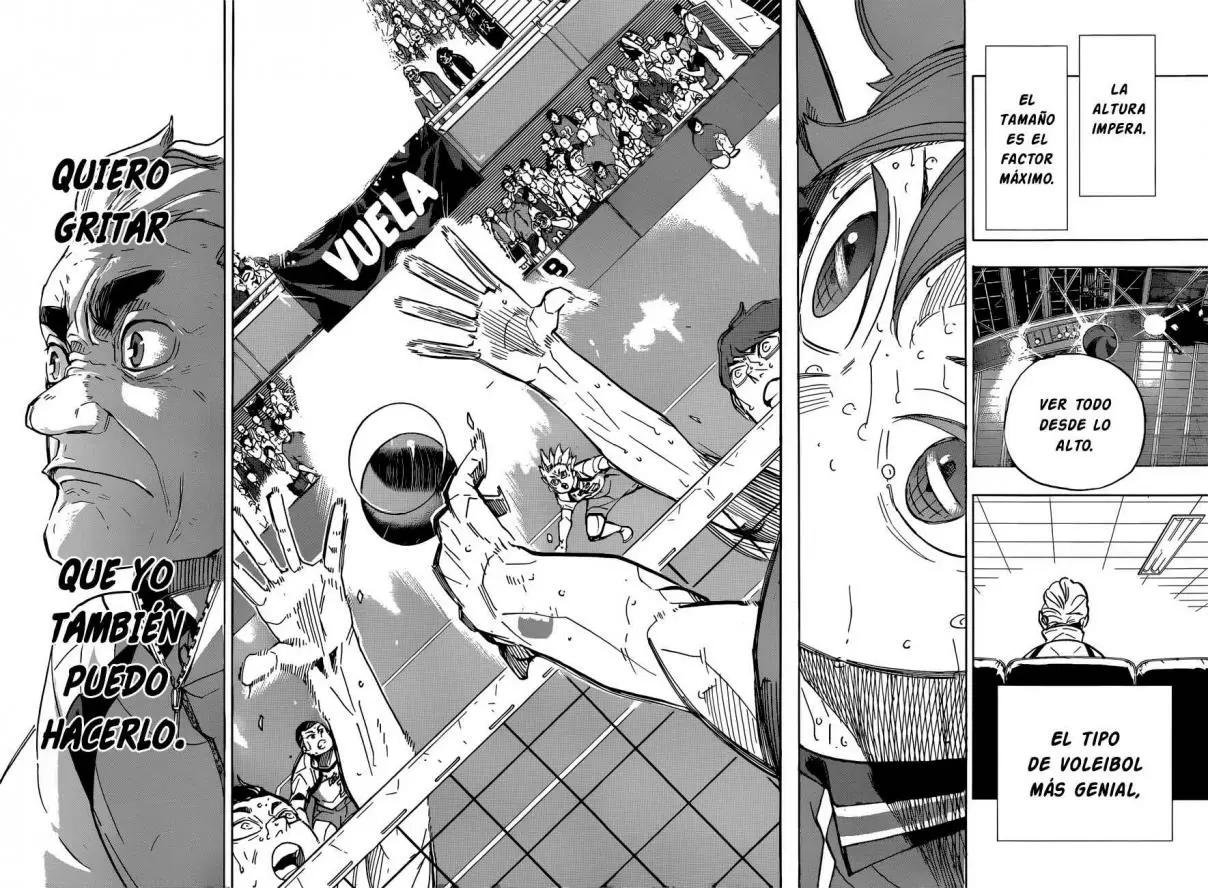 Haikyuu!! capítulo 361, página 17
