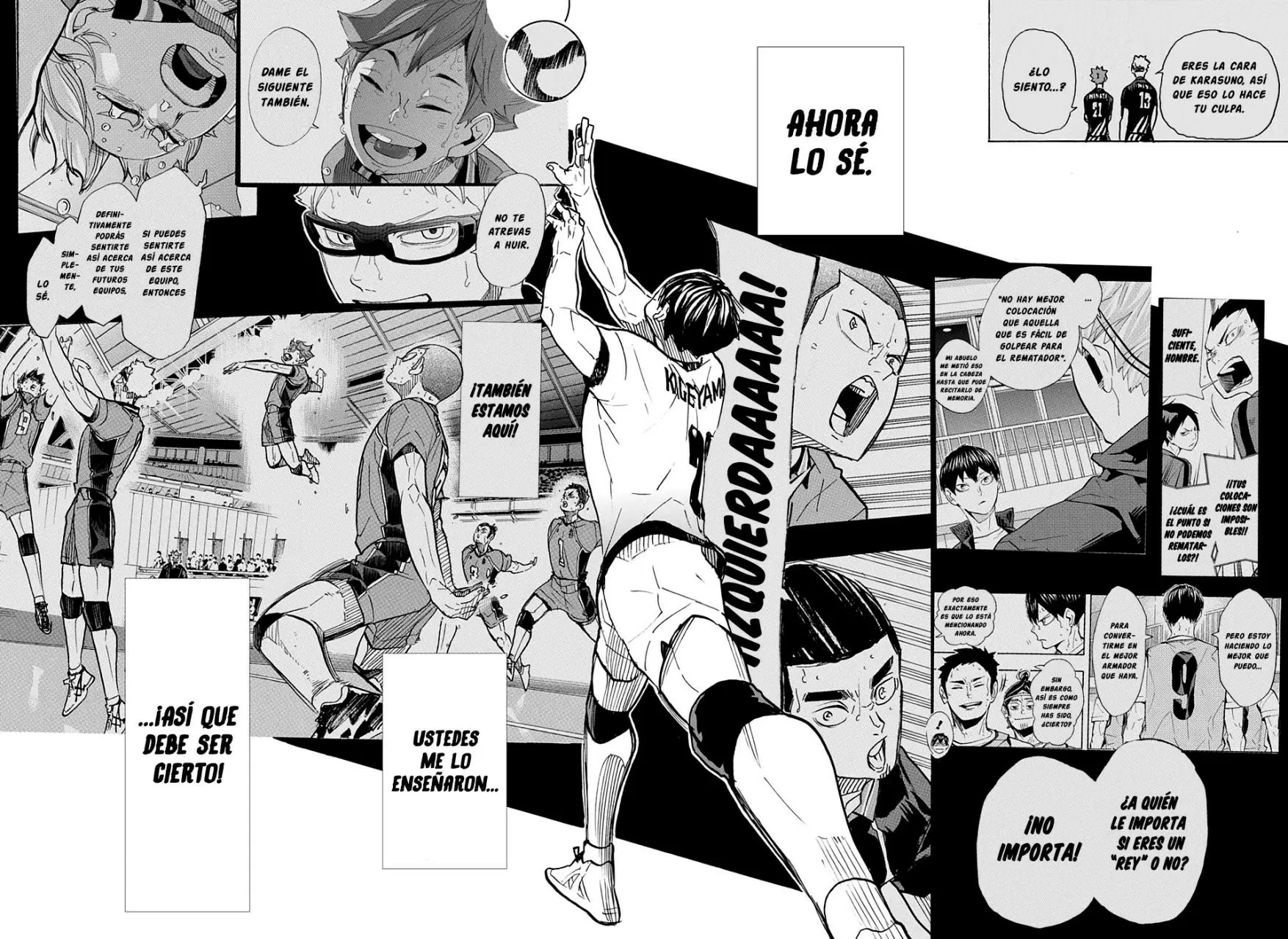 Haikyuu!! capítulo 389, página 14
