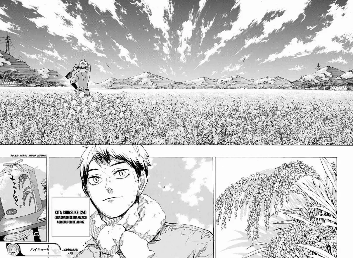 Haikyuu!! capítulo 391, página 17