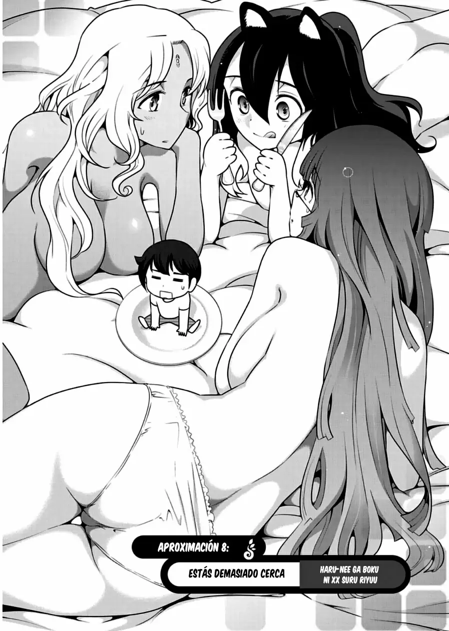Haru-nee ga Boku ni XX Suru Riyuu capítulo 8, página 8