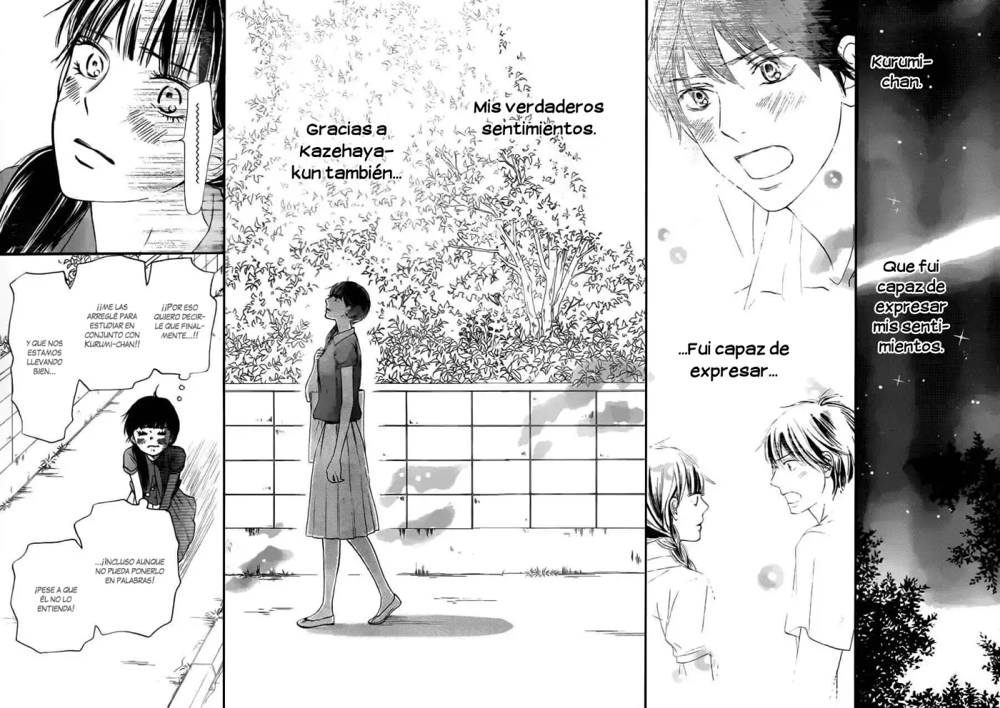 Kimi Ni Todoke capítulo 104, página 24