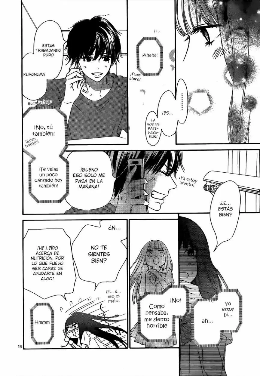 Kimi Ni Todoke capítulo 91, página 15