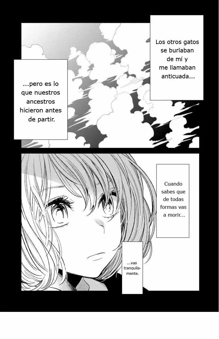 Kuzu no Honkai capítulo 22.5, página 12
