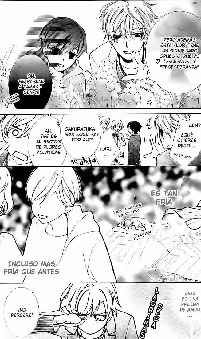 Ouran High School Host Club capítulo 70, página 12