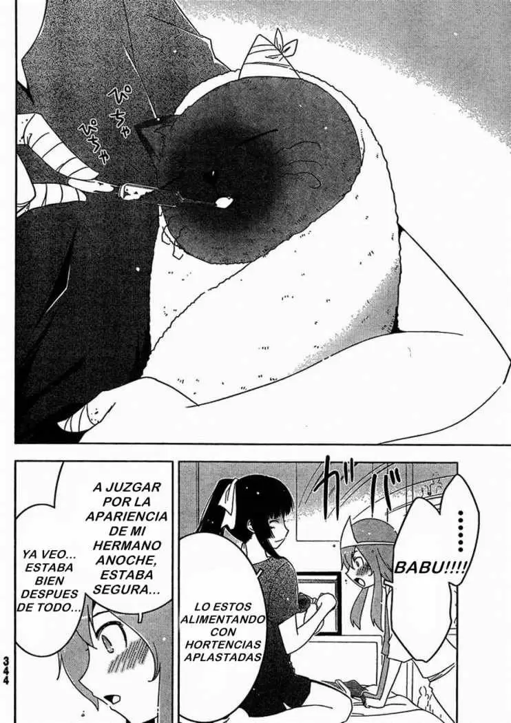 Sankarea capítulo 28.5, página 5