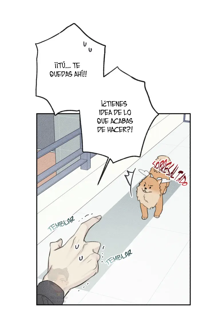 Angel Buddy capítulo 68, página 37