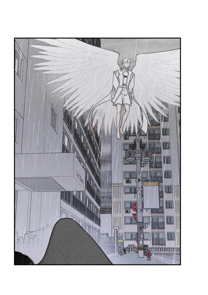 Angel Buddy capítulo 75, página 49