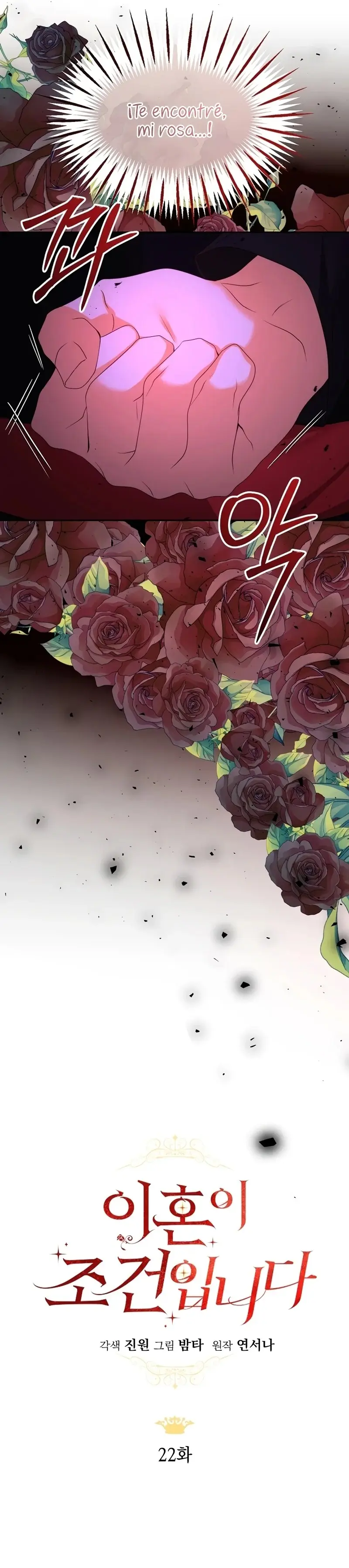 My Condition Is Divorce capítulo 22, página 12