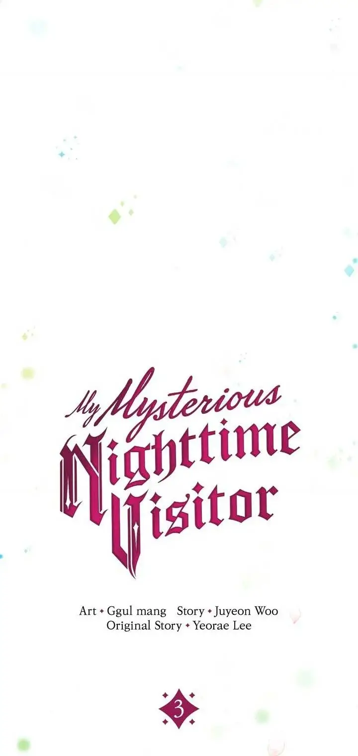 My Mysterious Nighttime Visitor capítulo 3, página 9