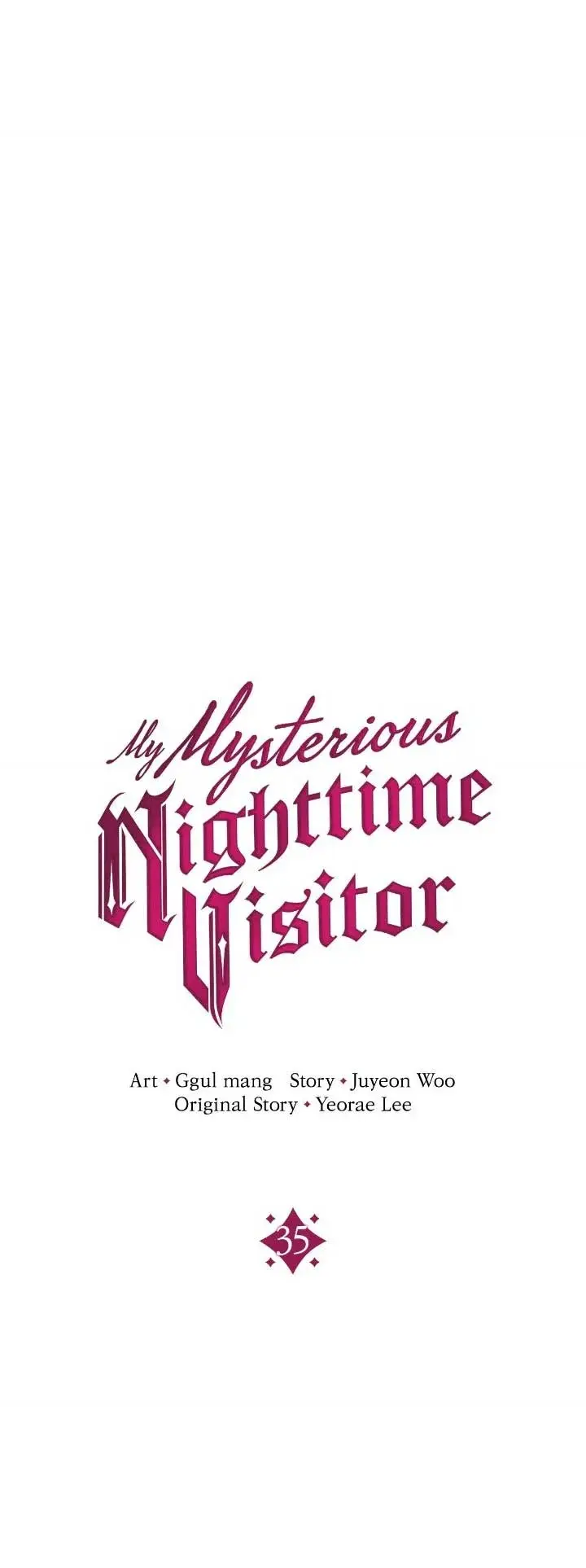 My Mysterious Nighttime Visitor capítulo 35, página 12