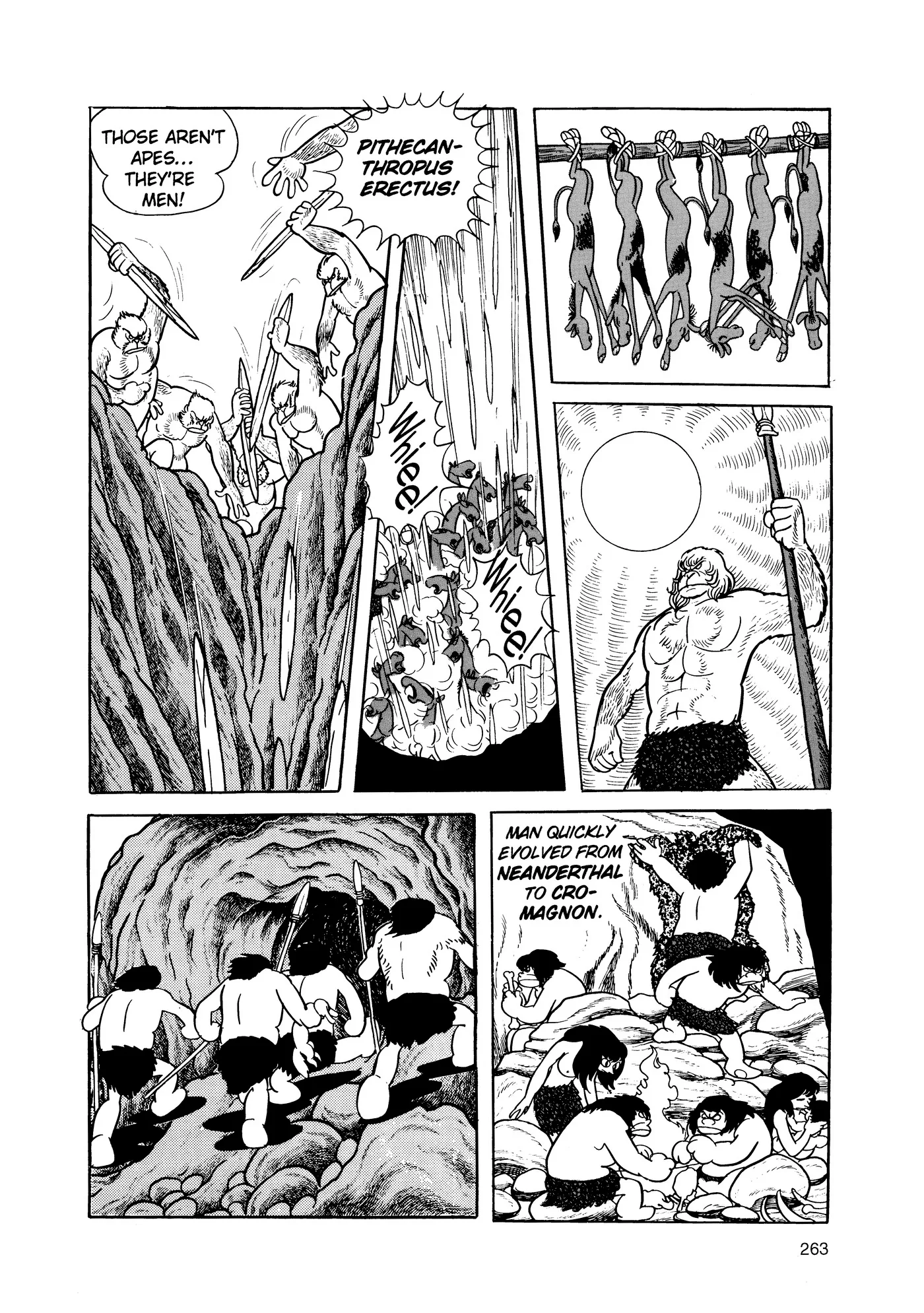 Phoenix capítulo 2, página 262