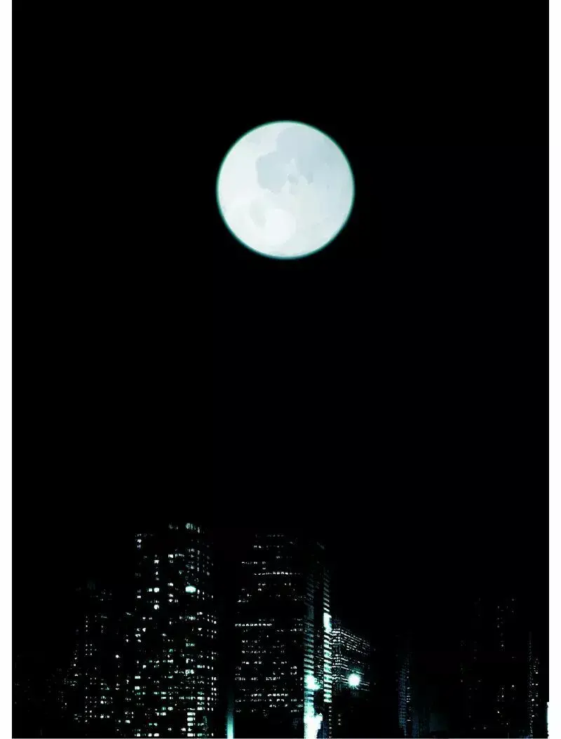 Reveries of the Moonlight capítulo 1, página 5