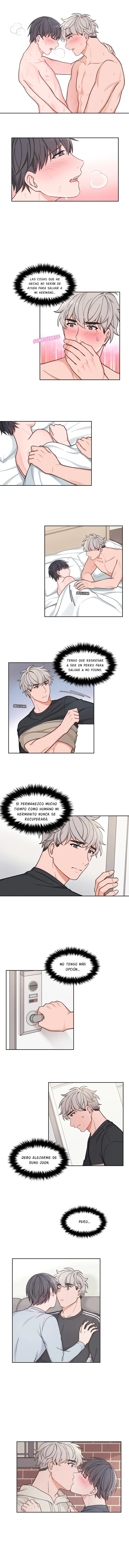 Sit, Wait, Kiss Me capítulo 18, página 5