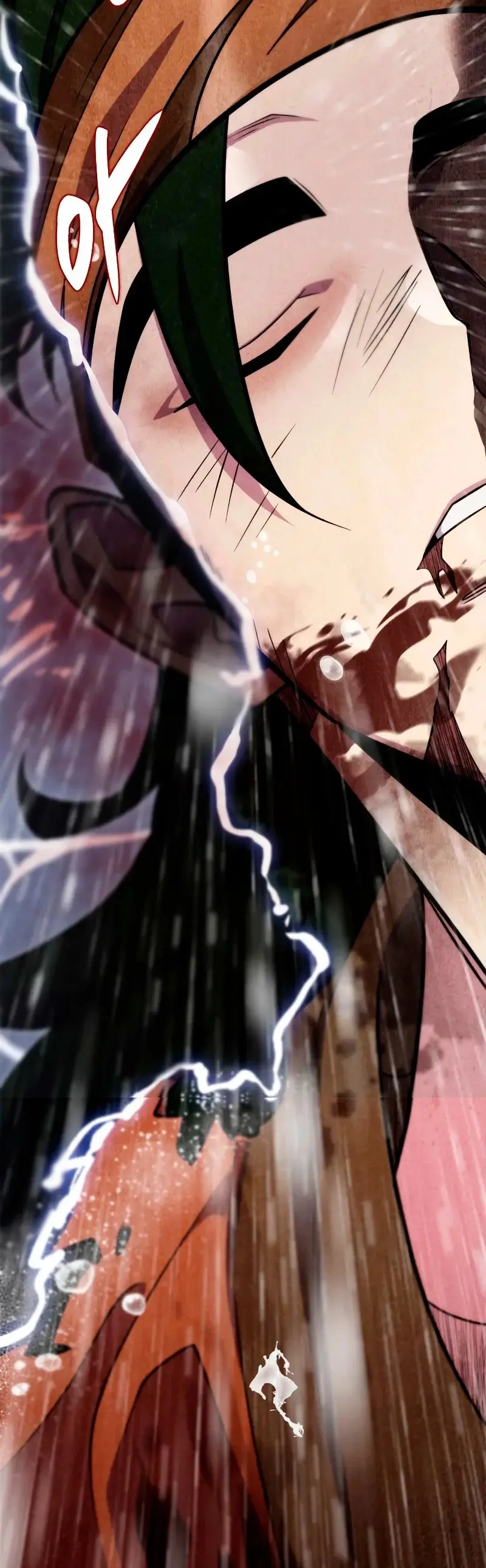 The Nine Heavens Swordmaster capítulo 52, página 4