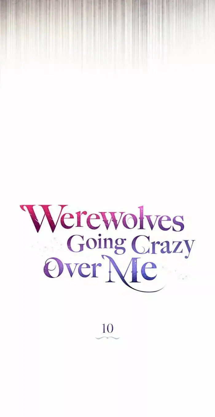 Werewolves Going Crazy Over Me capítulo 10, página 28
