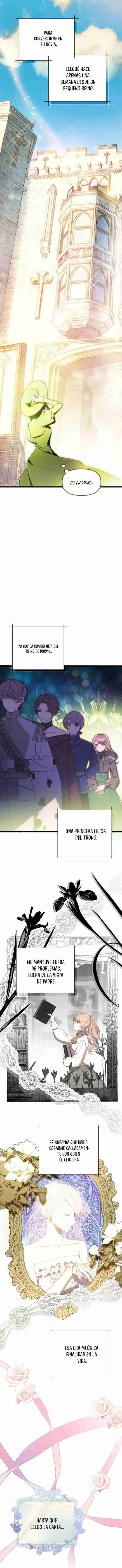 Conquistare a las bestias rebeldes capítulo 1, página 3