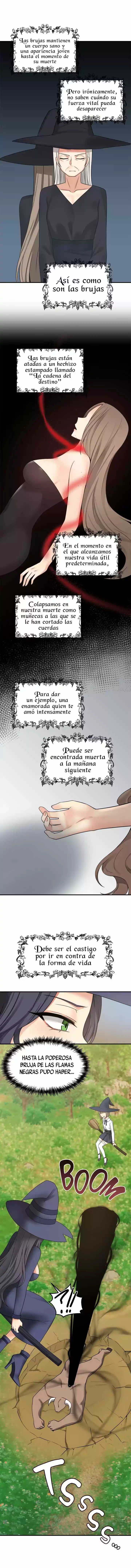 La Elfa Que Le Gusta Ser Humillada capítulo 18, página 5