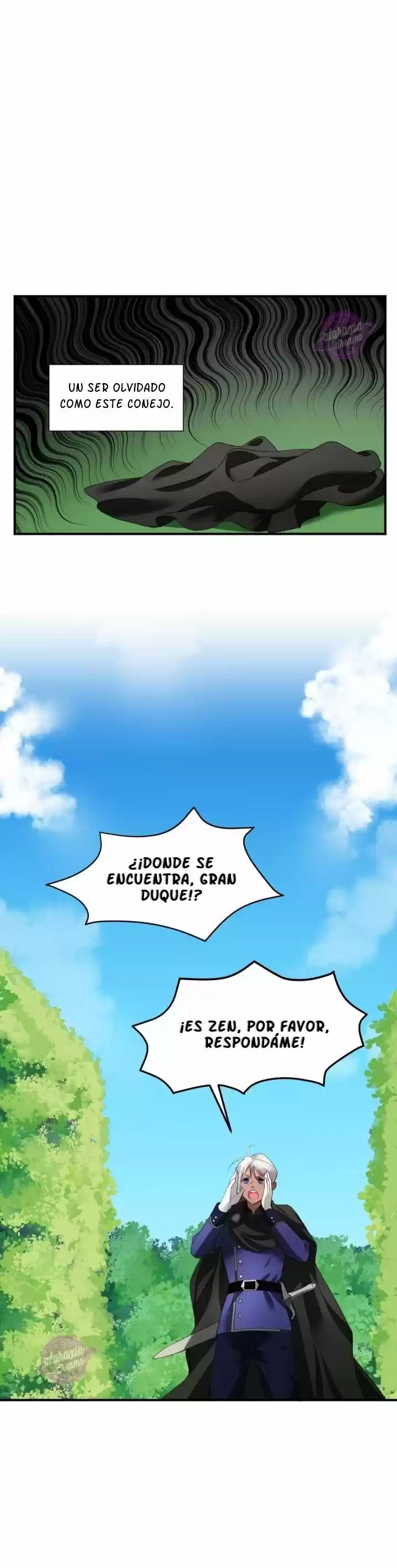 La Princesa Finge Estar Loca capítulo 2, página 12