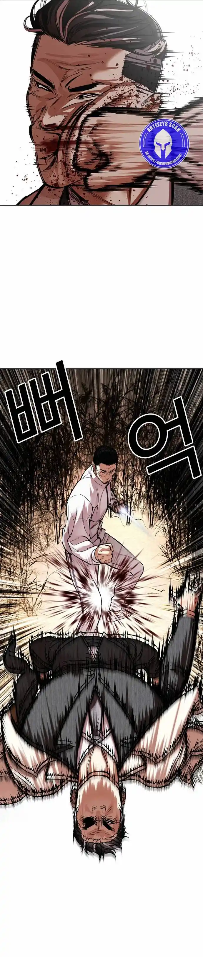 Lookism capítulo 487, página 17