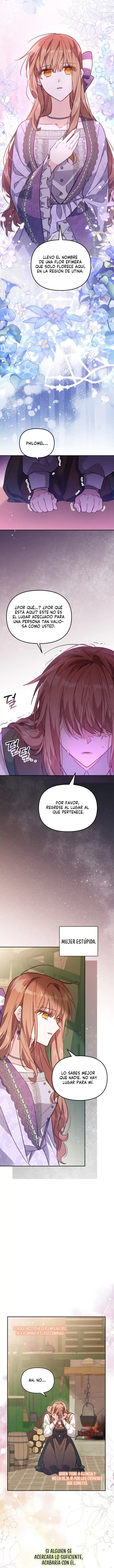 No hay lugar para las falsificaciones capítulo 18, página 8