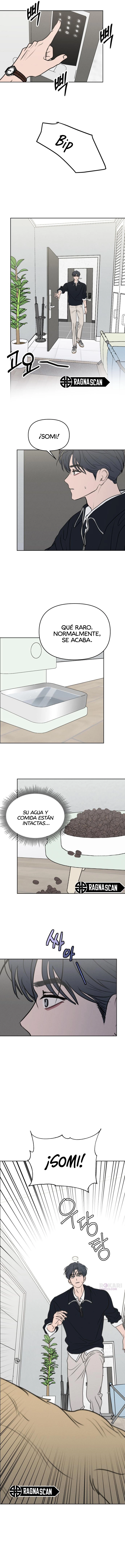 Quisiera dejarme engañar. capítulo 32, página 12