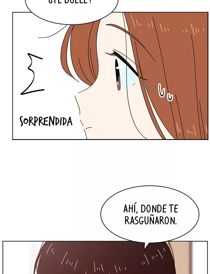 temporada de flores capítulo 27, página 72