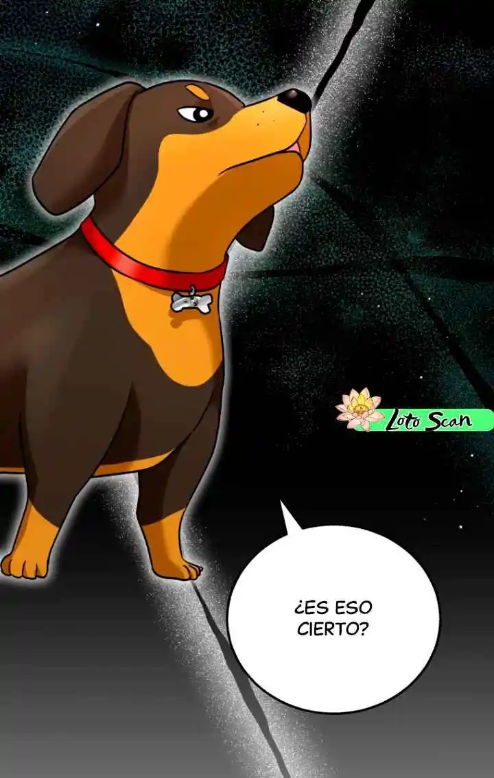 ¡Veterinario! ¿Hola? capítulo 0, página 3