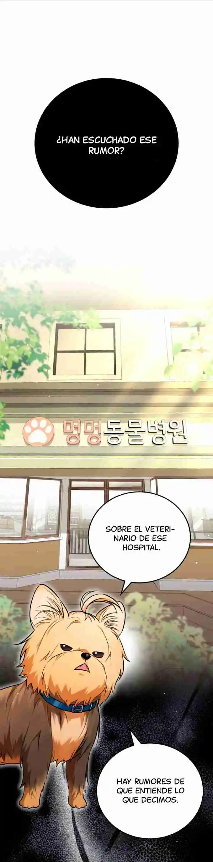 ¡Veterinario! ¿Hola? capítulo 1, página 2