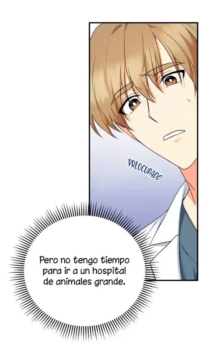 ¡Veterinario! ¿Hola? capítulo 1, página 33