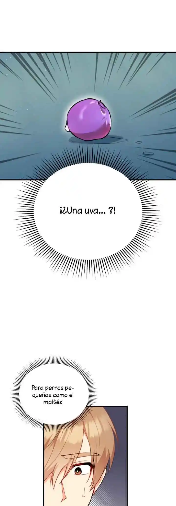 ¡Veterinario! ¿Hola? capítulo 1, página 41