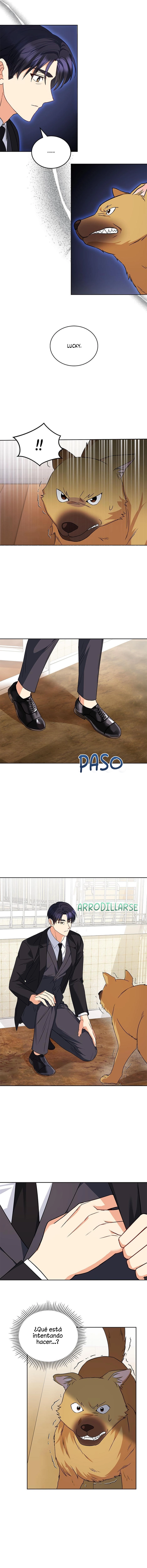 ¡Veterinario! ¿Hola? capítulo 20, página 1