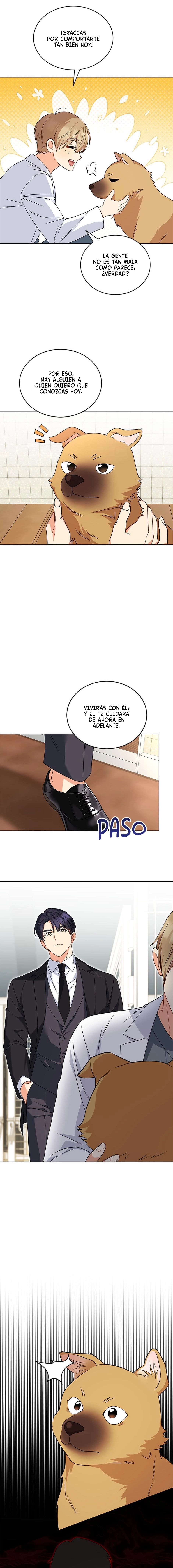 ¡Veterinario! ¿Hola? capítulo 20, página 12