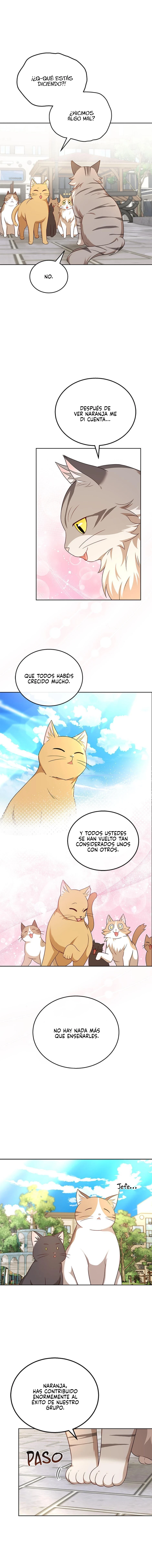 ¡Veterinario! ¿Hola? capítulo 21, página 13